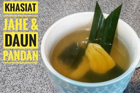 Ini Dia 6 Manfaat Minum Rebusan Daun Pandan Dan Jahe Sebelum Tidur Yang