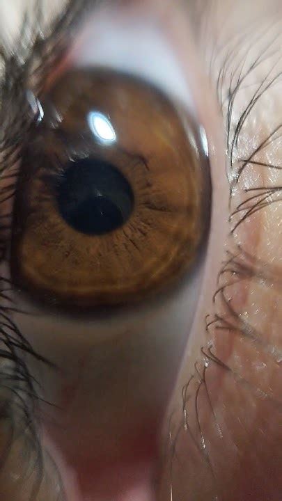 криво получилось;( #trend #тренды #newvideo #глаза #кариеглаза # ...