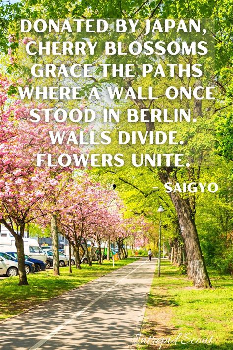 Beautiful Cherry Blossom Quotes And Captions For Instagram Artofit