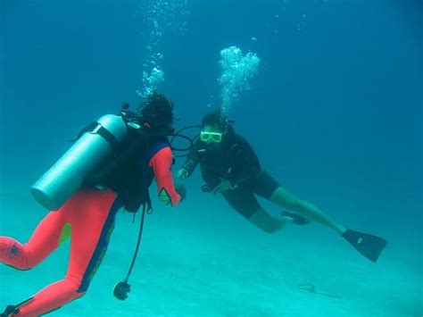 Scuba Diving In Ocho Rios Jamaica