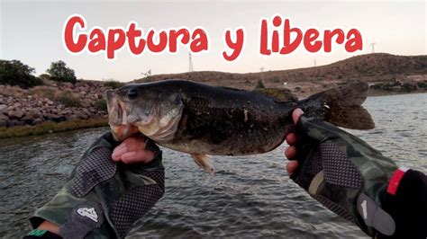 Pesca Captura Y Libera En Slp Youtube