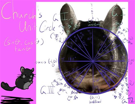 toys for chinchilla 1