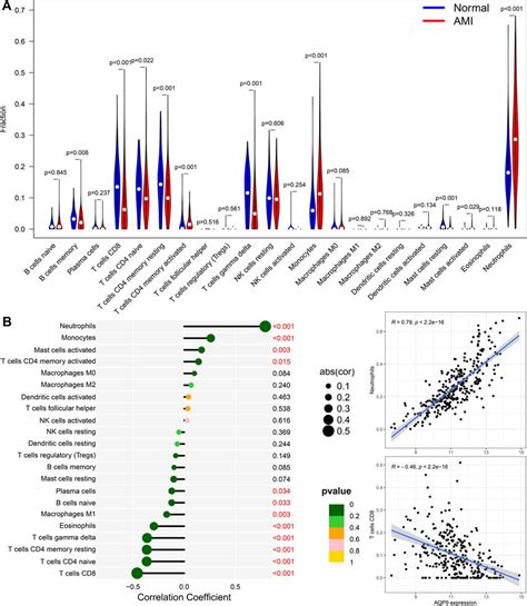 Immune Cell Infiltration Analysis A Violin Plot Showing The