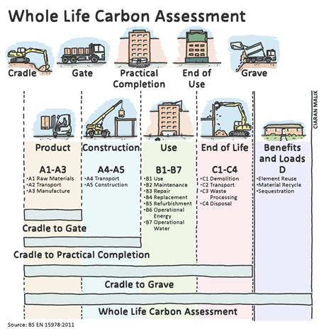 Whole Life Carbon Assessment – Cíaran Malik