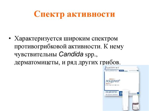 Противогрибковые препараты - презентация онлайн