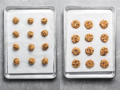 Lactation Cookies Oatmeal Chocolate Chip Bunsen Burner Bakery