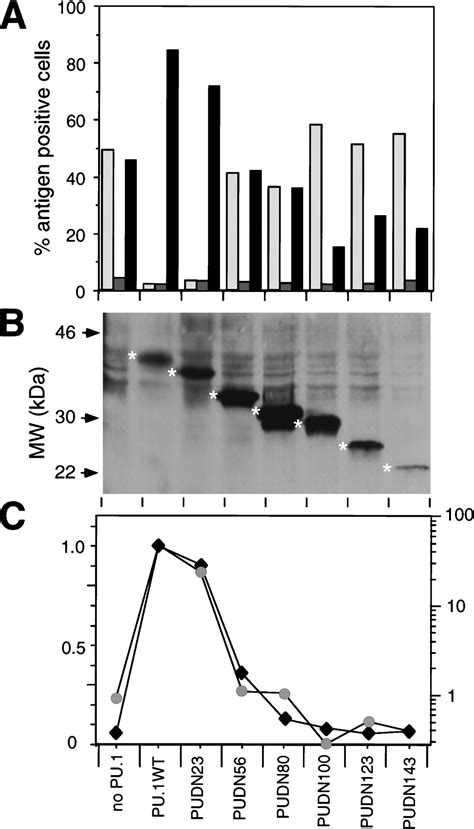 PU.1 induces myeloid lineage commitment in multipotent hematopoietic ...