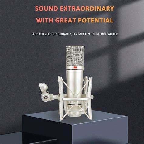 Studio-Set Kondensator-Richtmikrofon ideal für die Instrumenten ...