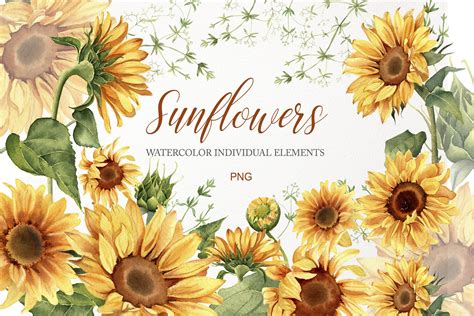 High Resolution Sunflower Clipart