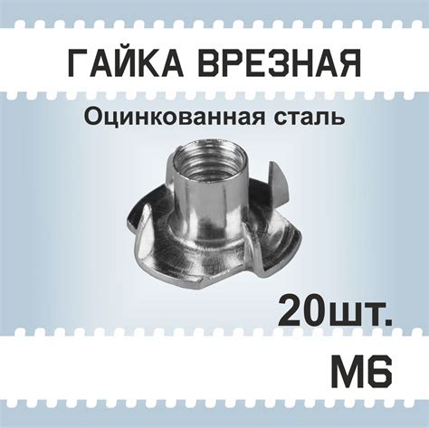 Гайка М6, 20 шт, мебельная врезная, усовая, забивная, DIN 1624 - купить ...