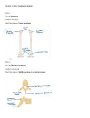Analyzing Bones For Sex Determination Height Estimation Course Hero