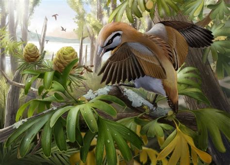 Fossil of bird that lived 120 million years ago alongside dinosaurs had ...