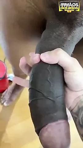 BBC Brazilian Gay Black Black Porn XHamster