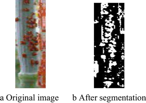 Application of segmentation on the original image. a. Original image. b ...
