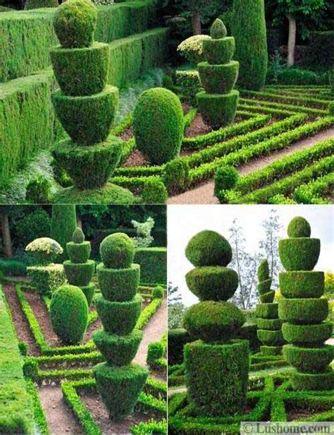 25 and 30 New Topiary Ideas, Great Decorative Plants to Beautify Yard ...