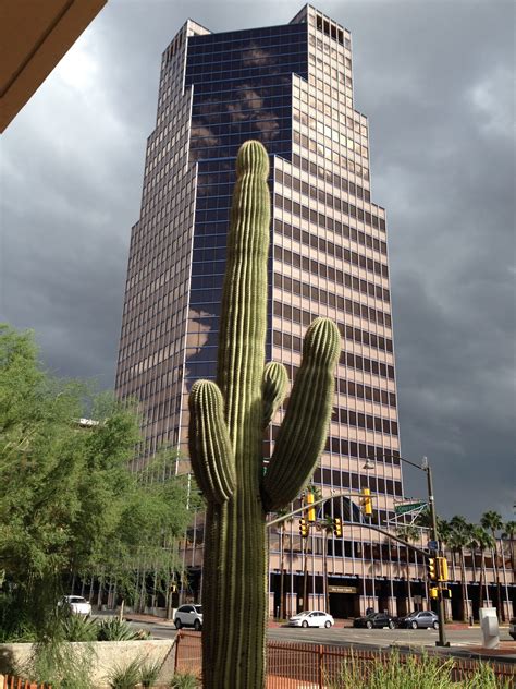 Tucson Daily Photo ~: Tucson - a Study in Contrasts