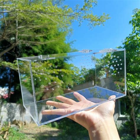 5*5*10 inches Size Acrylic Enclosure for Tarantulas Terrestrial ...