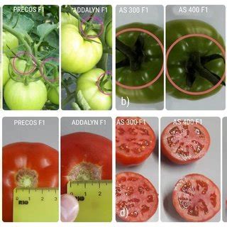 Pdf Analysis Of Physico Chemical And Organoleptic Fruit Parameters