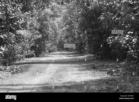 Beautiful Landscape Pictures From Sri Lanka Visit Sri Lanka Stock