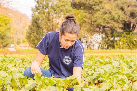 Colégio Agrícola da UEPG abre processo seletivo para ingresso em 2025