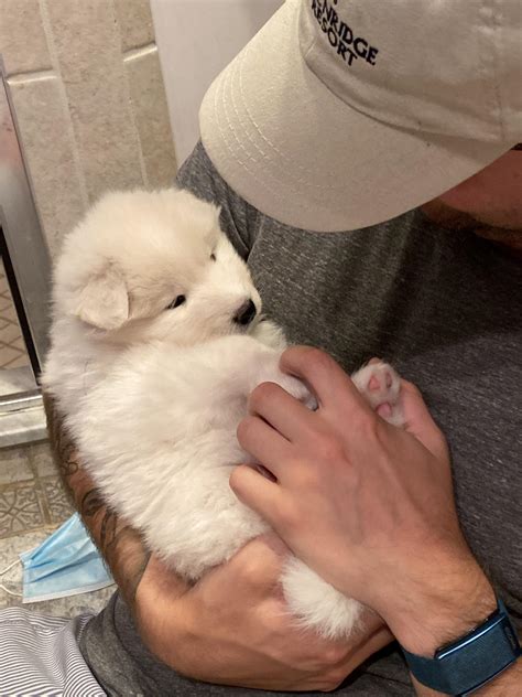 1977 Best Maisie Images On Pholder Celebs With Petite Tits Maisiewilliams And Celebhub