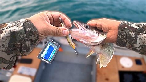 Whipping For Walleye On The St Clair River Youtube