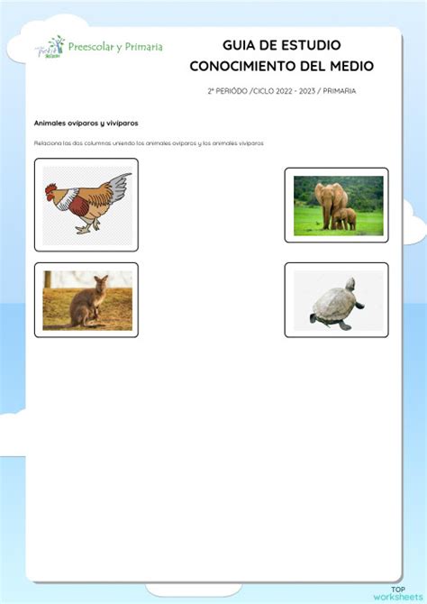 Guia De Estudio Conocimiento Del Medio Ficha Interactiva Topworksheets