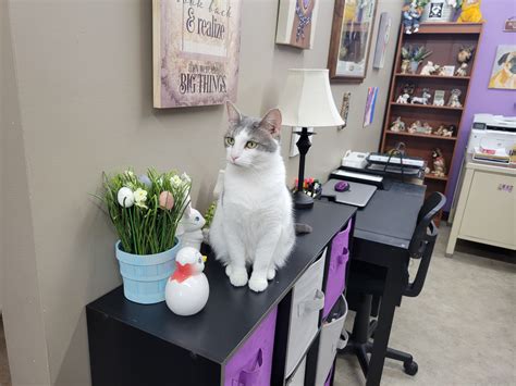 Parker Kohl Funeral... - Parker Kohl Funeral Home & Crematory