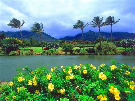 🔥 [50+] Maui Wallpapers Pictures | WallpaperSafari