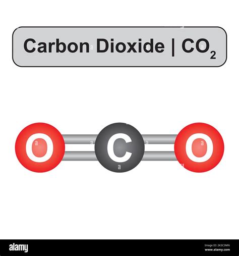 Molecular Model Of Carbon Dioxide Co2 Molecule Vector Illustration