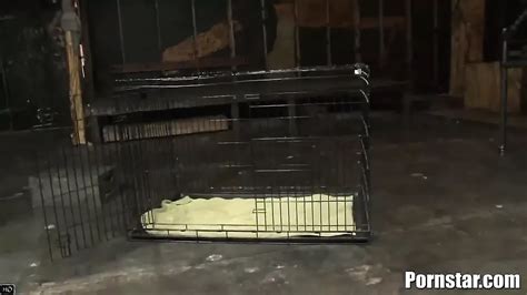 Gigi Rivera Porn Videos Porn Star Sex Scenes Xhamster