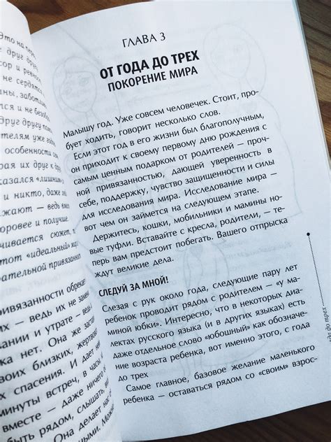 Тайная опора. Привязанность в жизни ребенка - Vilki Books