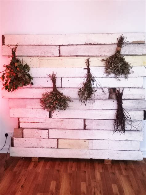 Inside London S Extraordinarily Curious Museum Of Sex Objects Londonist