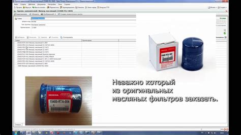 Трицепс Программа Для Автосервиса - lefreg