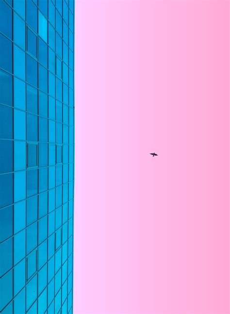 Fondos De Pantalla Minimalismo Azul Rosado Edificio Cielo P Jaro