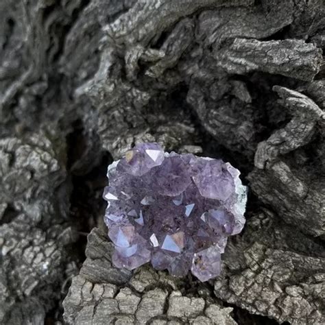 Amethyst Cluster 36 Lovely Sunshine Crystals