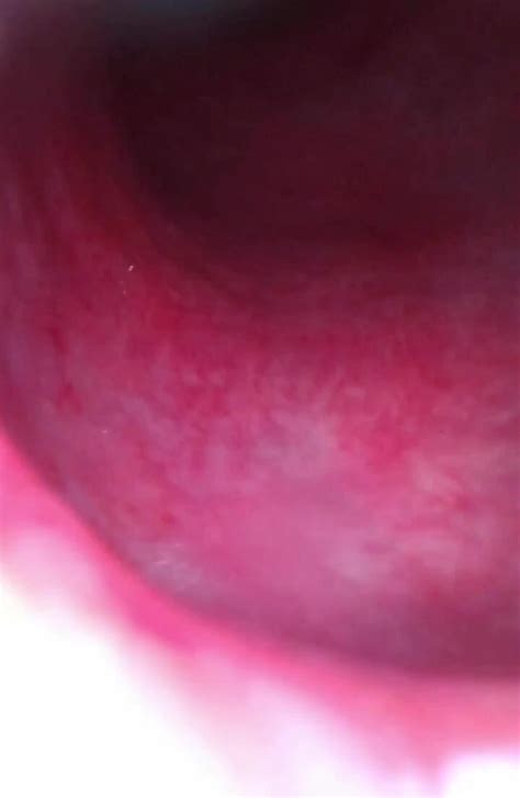 Let S Get Into Her Ass ThisVid