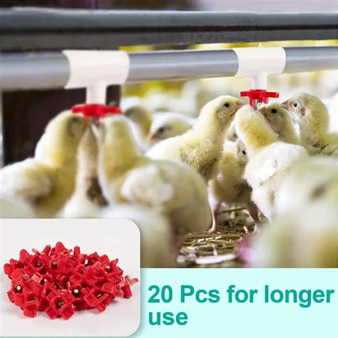 Horizontal Chicken Nipples Waterer Automatic Poultry Nipples Temu