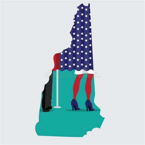 Ilustra O Da Vota O Em New Hampshire O Estado Do Granito Ilustra O