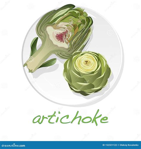 Artichoke On Plate Vector Illustration Set Image Isolated On White Background Stock Vector