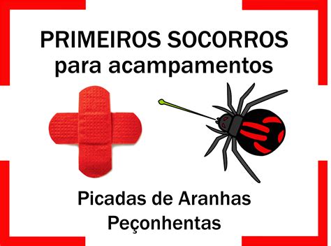 Primeiros Socorros Para Picadas De Aranhas Fuiacampar