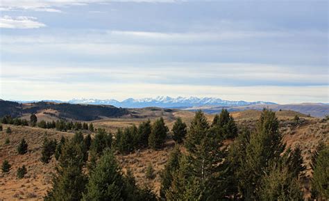 bridger mountains stock  pictures royalty  images