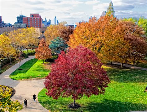 Rutgers, The State University of New Jersey – Camden - Study New Jersey
