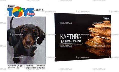 Набор для росписи по номерам "Такса" 40х50 см коробка - Картины по ...
