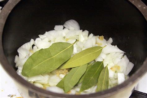 The Vast Bay Leaf Conspiracy The Awl In Food Bay Leaves