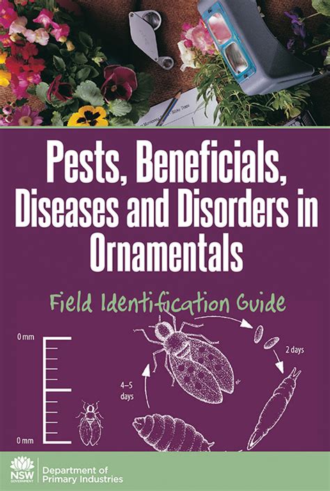 Pests Beneficials Diseases And Disorders In Ornamentals