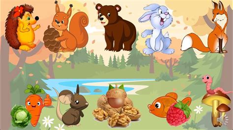 Дидактична гра "Нагодуй тваринку" - YouTube