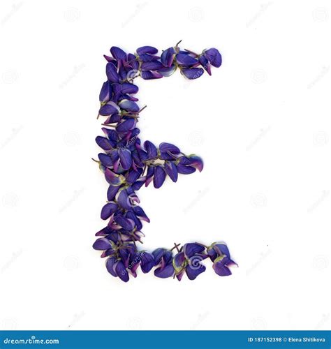 Letters Of Flowers A Bright Alphabet Of Purple Petals Letter E Stock