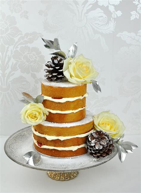 Winter Naked Cake Decorated Cake By Mrs Robinson S Cakesdecor