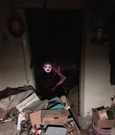 A Baby In The Basement The Ultimate Trevor Henderson Creature Wiki